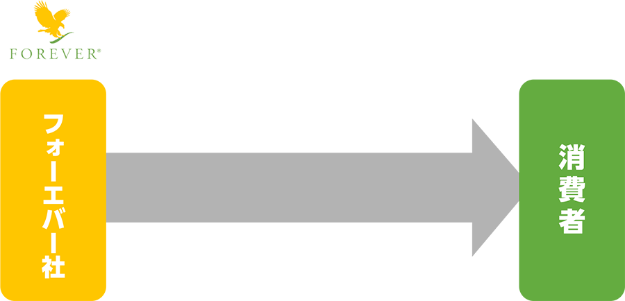 フォーエバー社流通イメージ