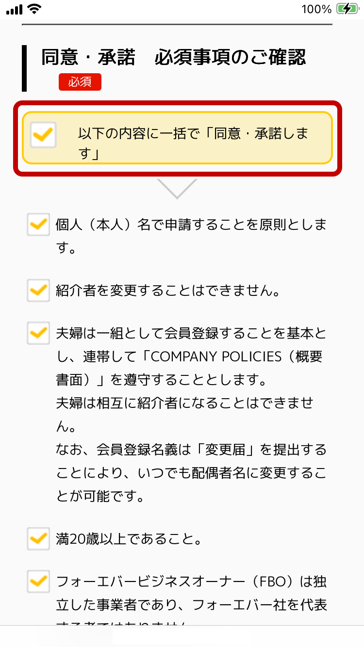 必須事項の確認画面
