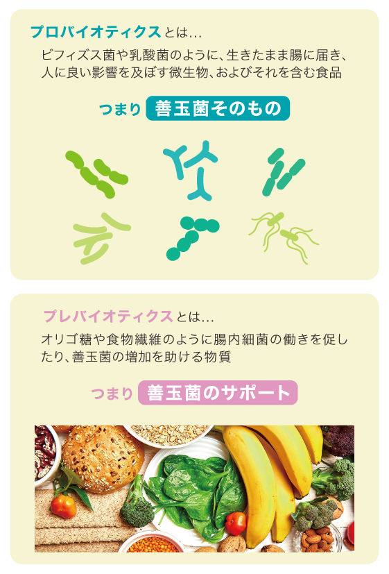 アクティブ プロバイオテック FLP フォーエバー 150㎎×30粒×5箱 フォーエバー アクティブプロバイオテックの通販