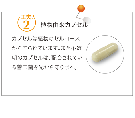 フォーエバー アクティブ プロB | フォーエバーリビングプロダクツ 